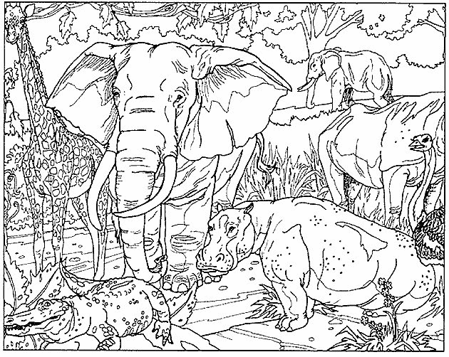 Plansa de colorat cu Elefant 41 36